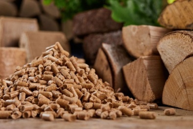 TCVN 14276:2024 về nguyên tố phụ trong nhiên liệu sinh học rắn