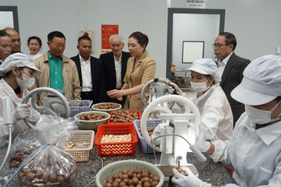 Kinh nghiệm triển khai NSCL tại Đắk Lắk: Thay đổi tư duy quản trị, hình thành chuỗi giá trị 