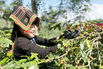 Điện Biên: Đồng bộ nhiều giải pháp nâng cao năng suất, chất lượng sản phẩm giai đoạn 2021–2025