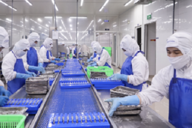 Nâng cao năng suất, chất lượng nông sản ĐBSCL bằng tiêu chuẩn và cải tiến quy trình thích ứng khí hậu