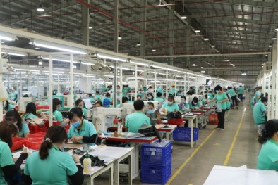 Tây Ninh tăng tốc nâng cao năng suất, chất lượng