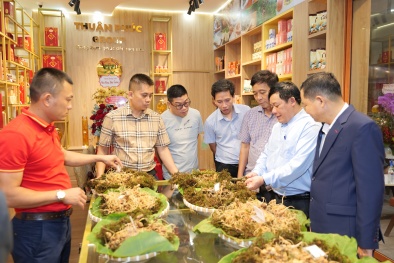 Đưa sâm Ngọc Linh đến gần hơn với người tiêu dùng đô thị