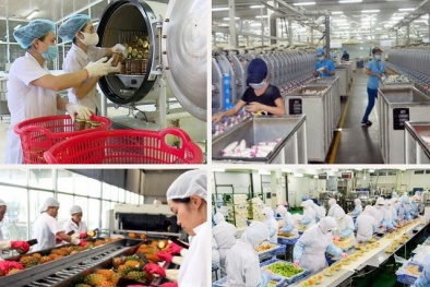 TCVN 14252:2024 về công bố cảm quan đối với sản phẩm tiêu dùng