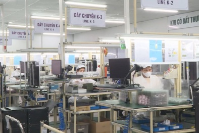 Khi năng suất trở thành lợi thế hội nhập của doanh nghiệp Việt