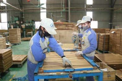 Tuyên Quang: Nâng cao năng suất chất lượng gắn với phát triển bền vững