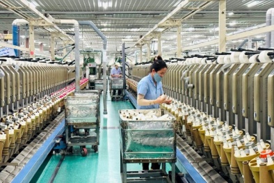 Xác lập mô hình tăng trưởng mới, đưa đất nước phát triển giàu mạnh