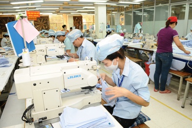 Đồng hành cùng doanh nghiệp nâng cao năng suất, chất lượng: Nền tảng cho phát triển bền vững