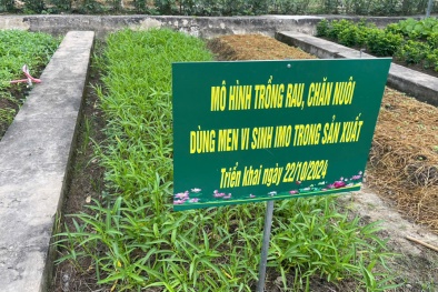 Tái chế chất thải nông nghiệp – giải pháp căn cơ cho bài toán môi trường nông thôn