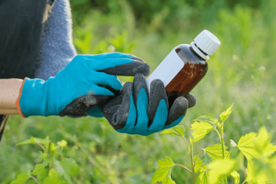 Ban hành Danh mục thuốc bảo vệ thực vật được phép và cấm sử dụng tại Việt Nam