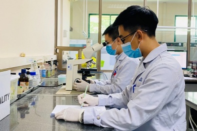 TCĐLCL hỗ trợ đắc lực cho sản xuất kinh doanh và hội nhập quốc tế