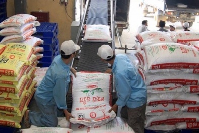 Thanh Hóa chủ động triển khai nhiều giải pháp nâng cao năng suất, chất lượng sản phẩm doanh nghiệp