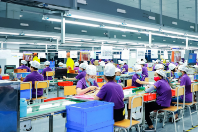 Từ chính sách đến thực tiễn: Nghệ An thúc đẩy doanh nghiệp nâng cao năng suất và chất lượng