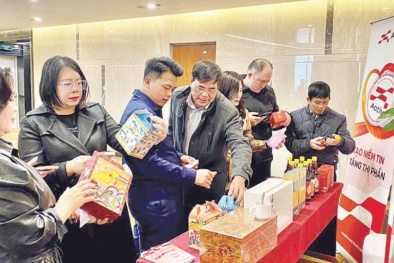 Truy xuất nguồn gốc: Trụ cột của quản lý, kinh doanh hiện đại