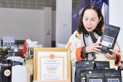 Bài 2: Chuẩn hóa dữ liệu cho hệ thống truy xuất