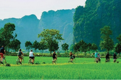 Đổi mới sáng tạo xanh: Động lực phát triển bền vững của Việt Nam