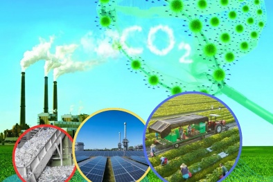 Năng suất xanh là chiến lược dài hạn nâng cao năng lực cạnh tranh của doanh nghiệp