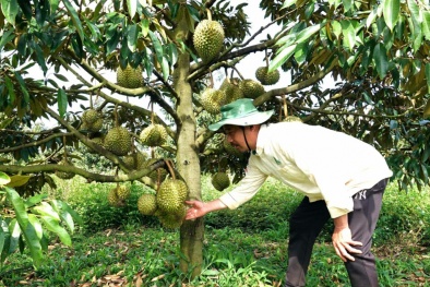 Gia Lai: Chương trình 1322 giúp doanh nghiệp thay đổi tư duy quản trị, văn hoá cải tiến, nâng cao năng suất