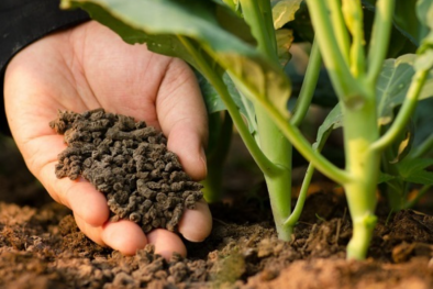 TCVN 14262:2024 – Cơ sở kiểm soát chất lượng vi sinh trong phân bón