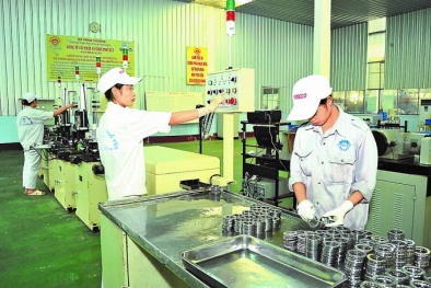 Chương trình 1322 hỗ trợ doanh nghiệp Thái Nguyên áp dụng tiêu chuẩn, nâng cao năng suất