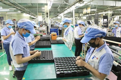 Con đường nâng tầm doanh nghiệp Việt trong chuỗi giá trị toàn cầu