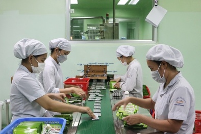 Chương trình 1322 hỗ trợ doanh nghiệp đa dạng ngành nghề nâng cao năng suất, chất lượng