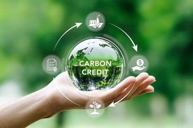 Gian lận xác minh tín chỉ carbon tự nguyện: Hàm ý pháp lý và ESG qua trường hợp Verra, bài học cho Việt Nam