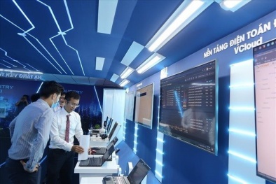 TP.HCM đưa năng suất chất lượng trở thành động lực phát triển các ngành, lĩnh vực