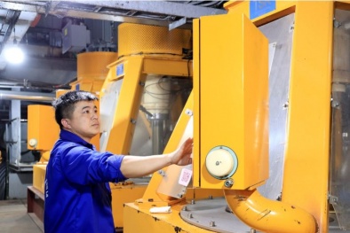 Nông nghiệp công nghệ cao thúc đẩy năng suất, chất lượng bền vững