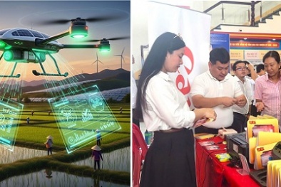 An Giang lấy chuyển đổi số, đổi mới sáng tạo làm động lực tạo đột phá năng suất và phát triển bền vững