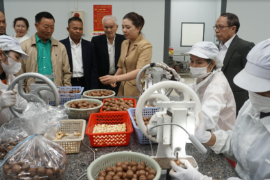 Đắk Lắk lấy năng suất, chất lượng làm nền tảng phát triển bền vững cho giai đoạn tới