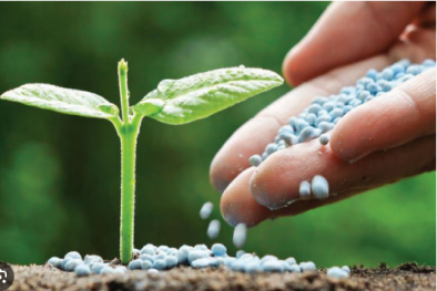 TCVN 14111:2024 về xác định vitamin B7 trong phân bón đáp ứng yêu cầu chất lượng