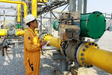Ứng dụng khí tự nhiên trong tiến trình xanh hóa công nghiệp Việt Nam
