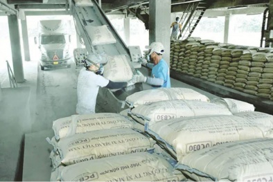Xi măng xanh: Nâng cao năng suất gắn với mục tiêu giảm phát thải CO₂