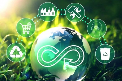 Kinh nghiệm quốc tế nhằm phát triển mô hình kinh tế tuần hoàn trong nông nghiệp tại Việt Nam