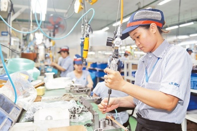 Doanh nghiệp tư nhân lấy nguồn nhân lực chất lượng cao làm đòn bẩy tăng năng suất