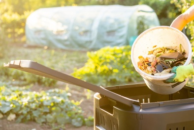 Tiêu chuẩn của ASTM về khả năng phân hủy sinh học góp phần quản lý chất thải hữu cơ