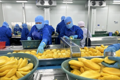 Ứng dụng đo lường thúc đẩy giá trị sản phẩm nông sản của Đồng Tháp 