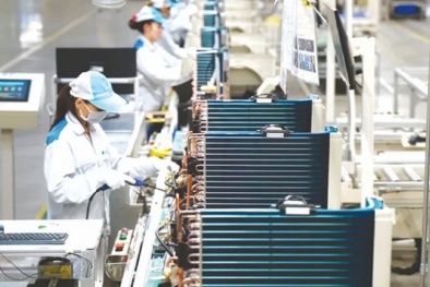 Khoa học công nghệ, chuyển đổi số - động lực quan trọng nâng cao năng suất lao động