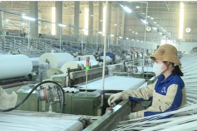 Khi tiêu chuẩn, công cụ cải tiến trở thành 'ngôn ngữ chung' trong quản trị