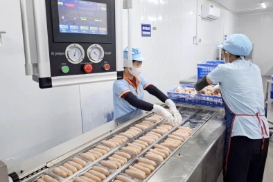 Phú Thọ đẩy mạnh hoạt động tiêu chuẩn đo lường chất lượng, thúc đẩy sản xuất kinh doanh