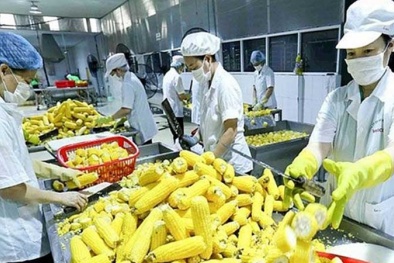 EU siết chặt tiêu chuẩn thực phẩm nhập khẩu