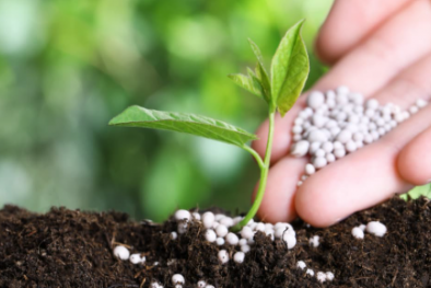 TCVN 14390:2025 xác định hàm lượng Bacillus coagulans trong phân bón