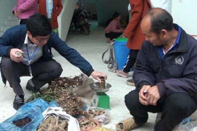 Cao Bằng nâng cao vai trò tiêu chuẩn đo lường chất lượng, thúc đẩy tăng trưởng bền vững