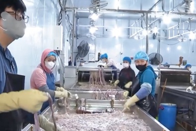 Đột kích cơ sở 'hô biến' nhiều tấn lòng lợn bốc mùi thành vỏ xúc xích, lạp xưởng