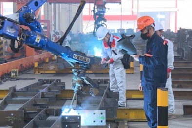 Địa phương tăng tốc sản xuất, tạo đà nâng cao năng suất và tăng trưởng năm 2026 