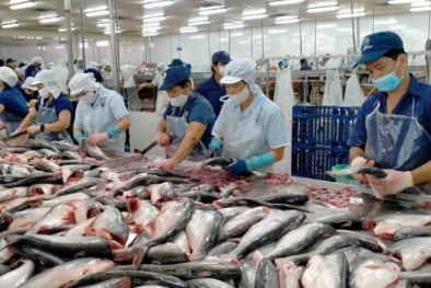 TCVN 14442:2025 hướng dẫn kiểm soát histamin, nâng cao an toàn thủy sản 