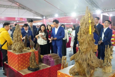 'Xuân hội tụ' - quảng bá hình ảnh Thủ đô, gắn với hoạt động du lịch, dịch vụ dịp Tết Bính Ngọ 