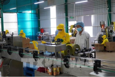 Định hình động lực tăng trưởng mới từ công nghệ cao