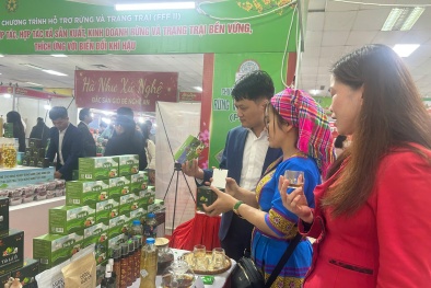 Tết rộn ràng với hàng ngàn đặc sản ba miền quy tụ tại Hội chợ Xuân Bính Ngọ 2026 