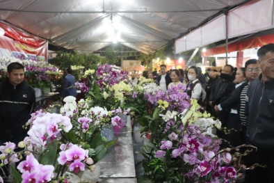 Quảng bá sản phẩm làng nghề, hình ảnh quê hương Đông Anh tại “Xuân Đoàn Viên”